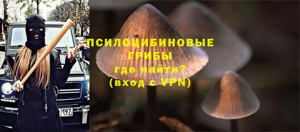 эйфоретик Пересвет