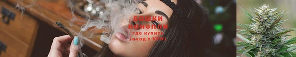эйфоретик Пересвет