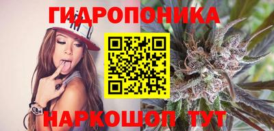 СК Заволжье