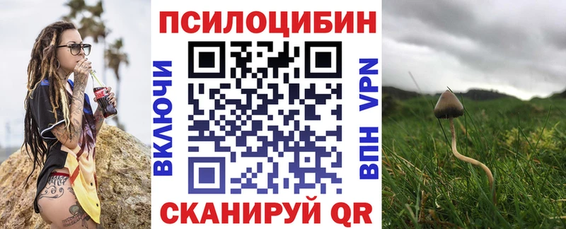 Галлюциногенные грибы GOLDEN TEACHER Серов