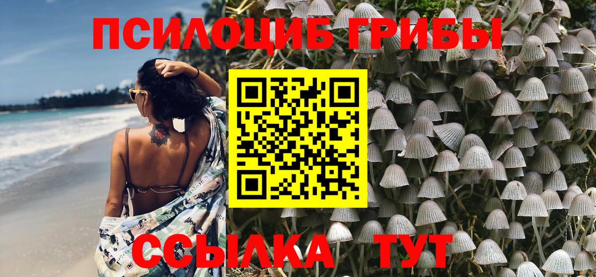 Псилоцибиновые грибы Magic Shrooms Серов