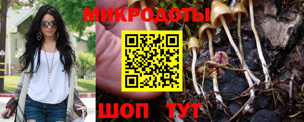 Галлюциногенные грибы Psilocybine cubensis  Вход с VPN  Серов 